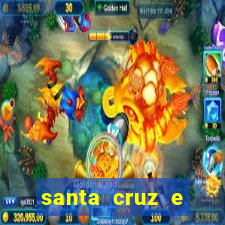 santa cruz e cruzeiro ao vivo hd